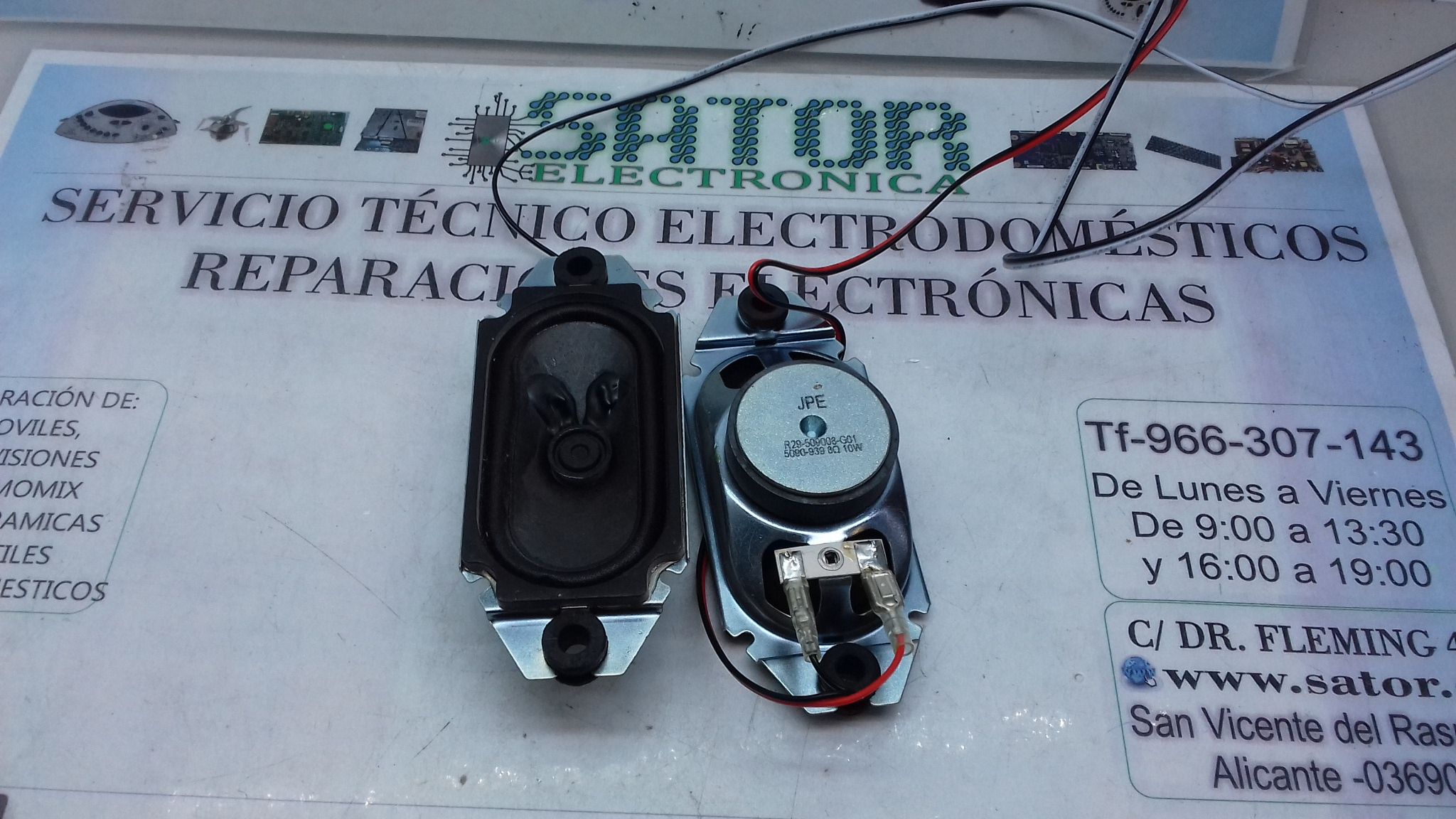 Altavoces R29-509008-G01